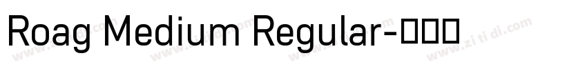 Roag Medium Regular字体转换